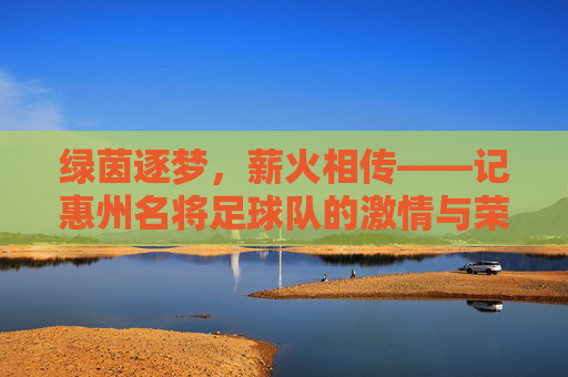 绿茵逐梦,薪火相传——记惠州名将足球队的激情与荣光
