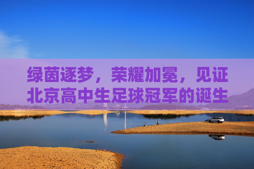 绿茵逐梦,荣耀加冕,见证北京高中生足球冠军的诞生