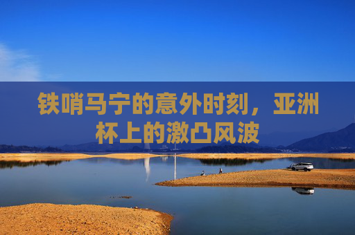铁哨马宁的意外时刻,亚洲杯上的激凸风波