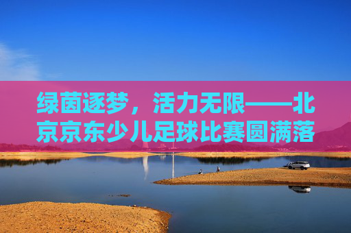 绿茵逐梦,活力无限——北京京东少儿足球比赛圆满落幕