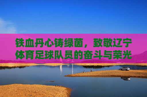 铁血丹心铸绿茵,致敬辽宁体育足球队员的奋斗与荣光