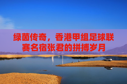 绿茵传奇，香港甲组足球联赛名宿张君的拼搏岁月