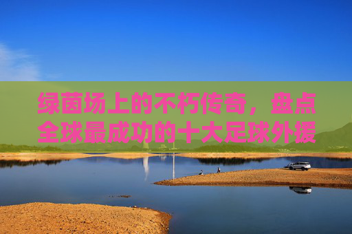 绿茵场上的不朽传奇,盘点全球最成功的十大足球外援