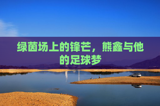 绿茵场上的锋芒,熊鑫与他的足球梦