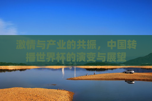 激情与产业的共振,中国转播世界杯的演变与展望