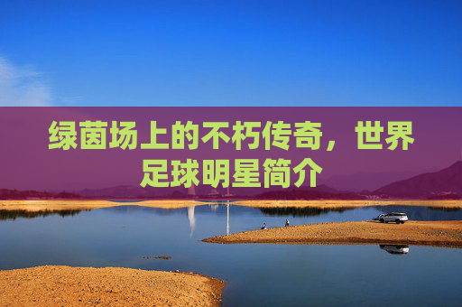 绿茵场上的不朽传奇,世界足球明星简介