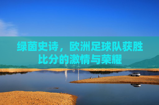 绿茵史诗,欧洲足球队获胜比分的激情与荣耀