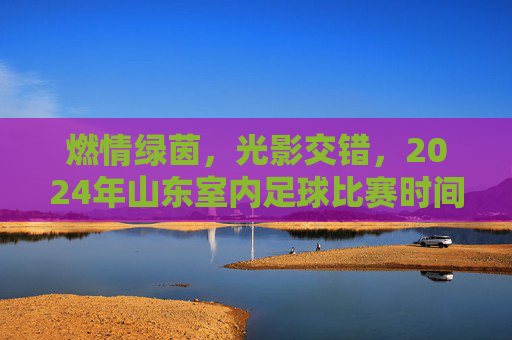 燃情绿茵,光影交错,2024年山东室内足球比赛时间与全攻略