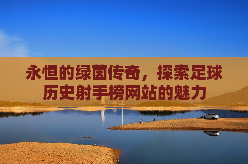 永恒的绿茵传奇，探索足球历史射手榜网站的魅力