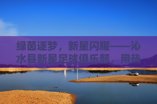 绿茵逐梦,新星闪耀——沁水县新星足球俱乐部,用热爱点燃青春
