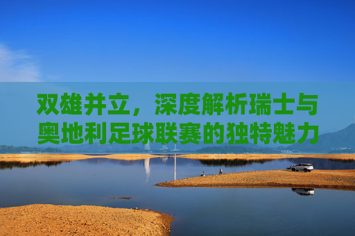 双雄并立,深度解析瑞士与奥地利足球联赛的独特魅力与竞争格局