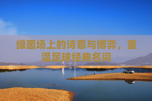 绿茵场上的诗意与博弈，重温足球经典名词