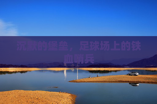 沉默的堡垒,足球场上的铁血哨兵