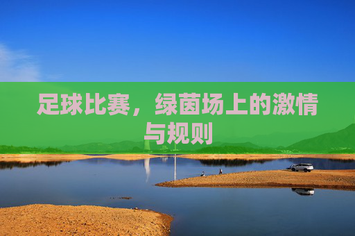 足球比赛,绿茵场上的激情与规则