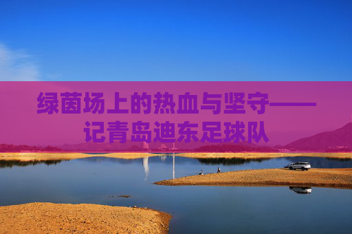 绿茵场上的热血与坚守——记青岛迪东足球队