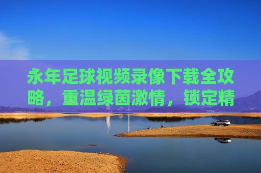永年足球视频录像下载全攻略,重温绿茵激情,锁定精彩瞬间