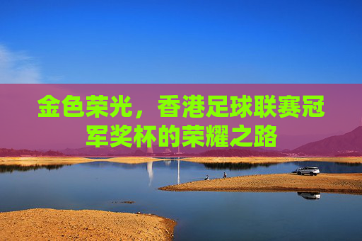 金色荣光,香港足球联赛冠军奖杯的荣耀之路