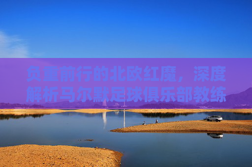 负重前行的北欧红魔,深度解析马尔默足球俱乐部教练的挑战与使命