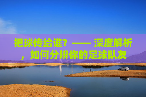 把球传给谁?—— 深度解析,如何分辨你的足球队友