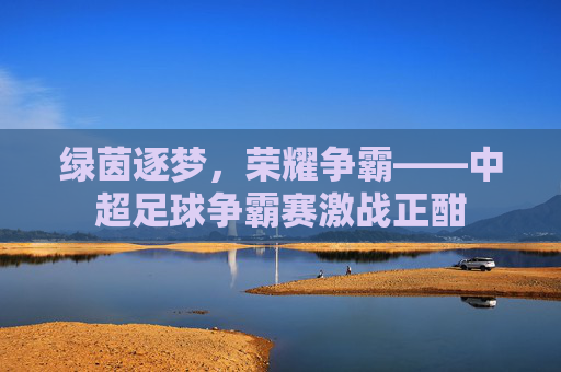 绿茵逐梦,荣耀争霸——中超足球争霸赛激战正酣