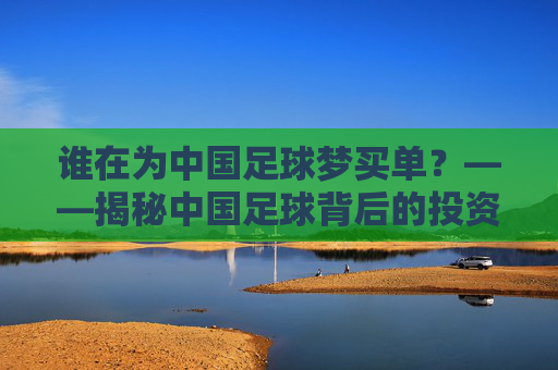 谁在为中国足球梦买单?——揭秘中国足球背后的投资力量