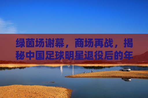 绿茵场谢幕,商场再战,揭秘中国足球明星退役后的年薪真相