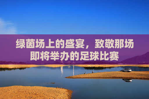 绿茵场上的盛宴,致敬那场即将举办的足球比赛