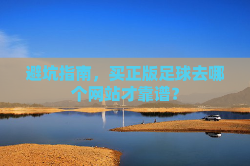 避坑指南,买正版足球去哪个网站才靠谱?
