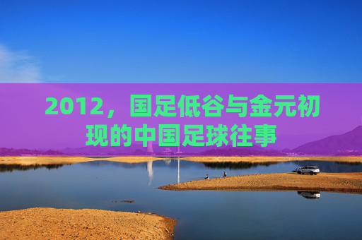 2012,国足低谷与金元初现的中国足球往事