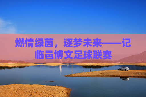 燃情绿茵,逐梦未来——记临邑博文足球联赛