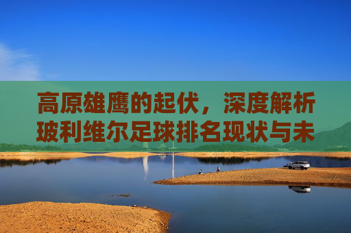 高原雄鹰的起伏,深度解析玻利维尔足球排名现状与未来展望