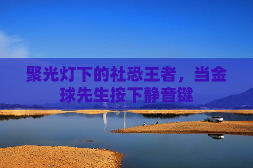 聚光灯下的社恐王者,当金球先生按下静音键