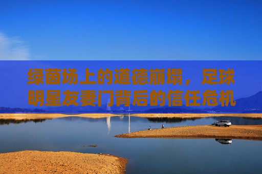 绿茵场上的道德崩塌,足球明星友妻门背后的信任危机与人性试炼