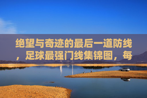 绝望与奇迹的最后一道防线,足球最强门线集锦图,每一帧都是心跳