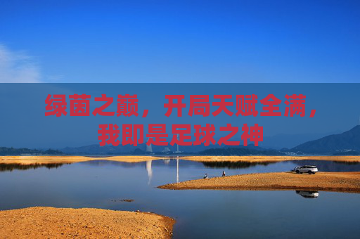 绿茵之巅,开局天赋全满,我即是足球之神