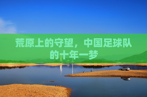 荒原上的守望,中国足球队的十年一梦