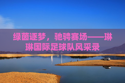 绿茵逐梦,驰骋赛场——琳琳国际足球队风采录