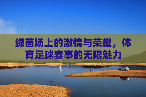 绿茵场上的激情与荣耀,体育足球赛事的无限魅力
