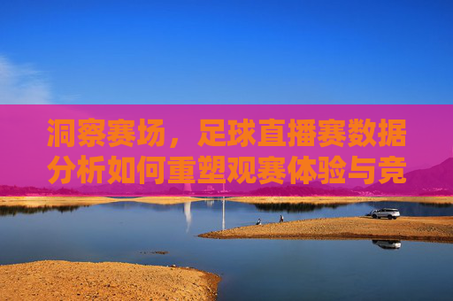 洞察赛场，足球直播赛数据分析如何重塑观赛体验与竞技决策
