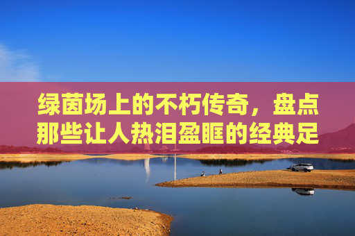 绿茵场上的不朽传奇,盘点那些让人热泪盈眶的经典足球比赛