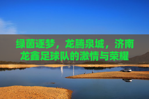 绿茵逐梦,龙腾泉城,济南龙鑫足球队的激情与荣耀
