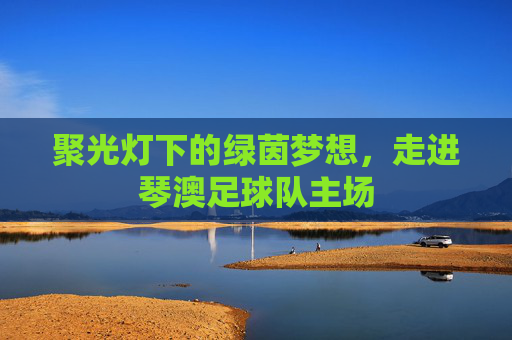 聚光灯下的绿茵梦想,走进琴澳足球队主场