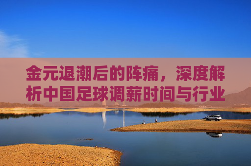 金元退潮后的阵痛,深度解析中国足球调薪时间与行业新规
