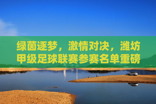 绿茵逐梦,激情对决,潍坊甲级足球联赛参赛名单重磅出炉
