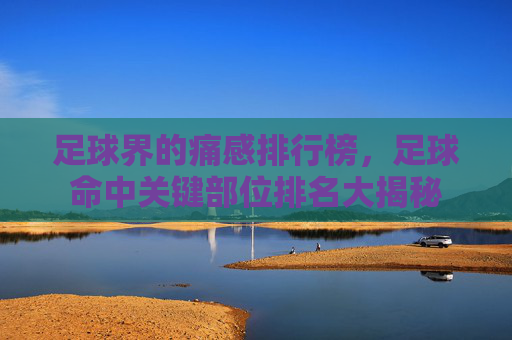 足球界的痛感排行榜,足球命中关键部位排名大揭秘