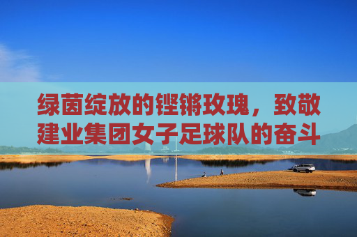 绿茵绽放的铿锵玫瑰,致敬建业集团女子足球队的奋斗岁月