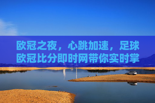欧冠之夜,心跳加速,足球欧冠比分即时网带你实时掌握巅峰对决