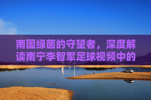 南国绿茵的守望者,深度解读南宁李智军足球视频中的战术智慧与足球情怀