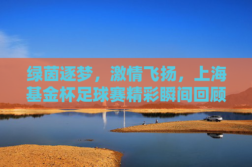 绿茵逐梦，激情飞扬，上海基金杯足球赛精彩瞬间回顾