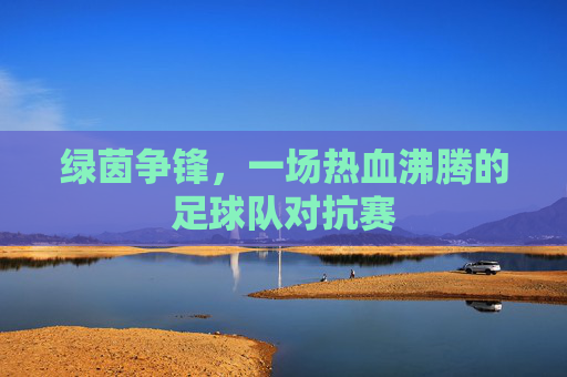 绿茵争锋，一场热血沸腾的足球队对抗赛